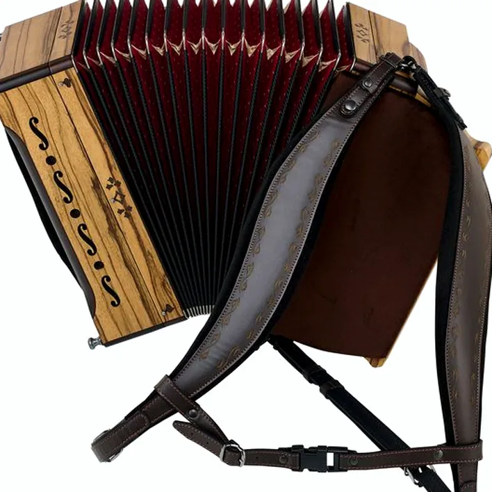 Alpengold Tirol 1 Limba G/C/F/Bb : Un accordéon robuste ? Notre avis
