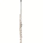 Avis et Test flûte traversière Altus AS-A10 REO-S Flute