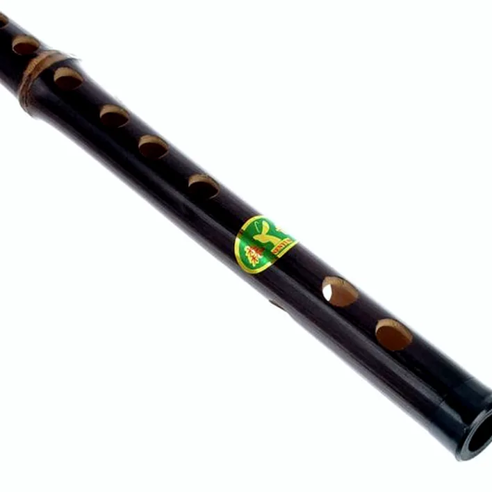 Avis et Test : Artino Chinese QuDi Flute A-major