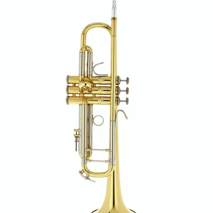 Avis et Test : Bach 18072 Bb-Trumpet