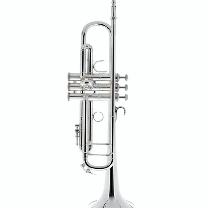Avis et Test : Bach ML190S43 Bb- Trumpet silver