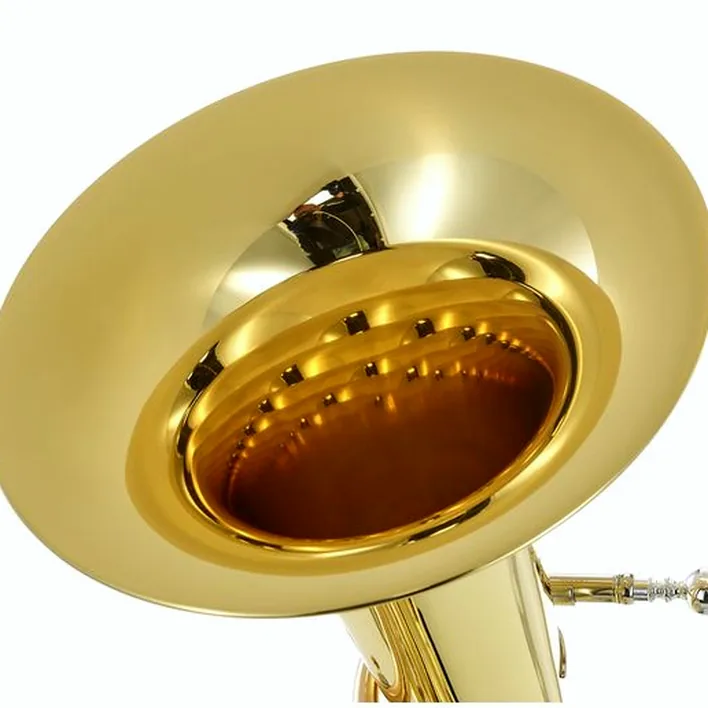 Avis et Test : B&S 46-L Baritone