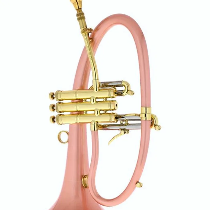 Avis et Test : Taylor Trumpets Phat Boy