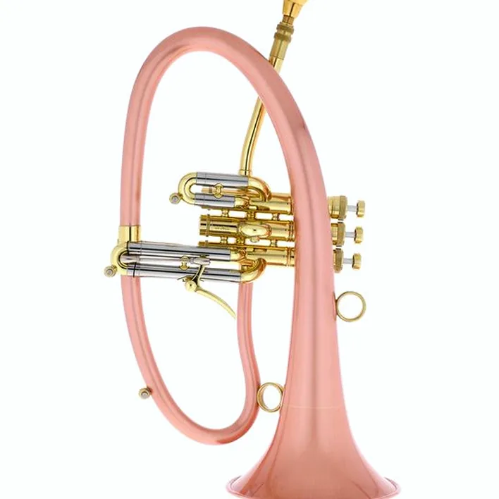 Avis et Test : Taylor Trumpets Phat Boy