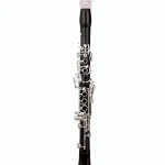Test et Avis : RZ Clarinets C-Clarinet Professional 17/6