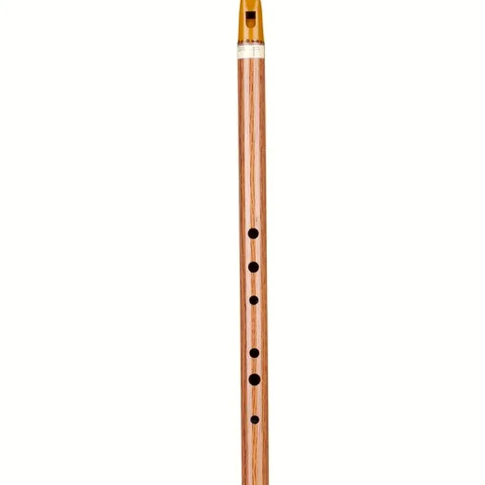 Avis et Test de la flûte Terre Irish Whistle F