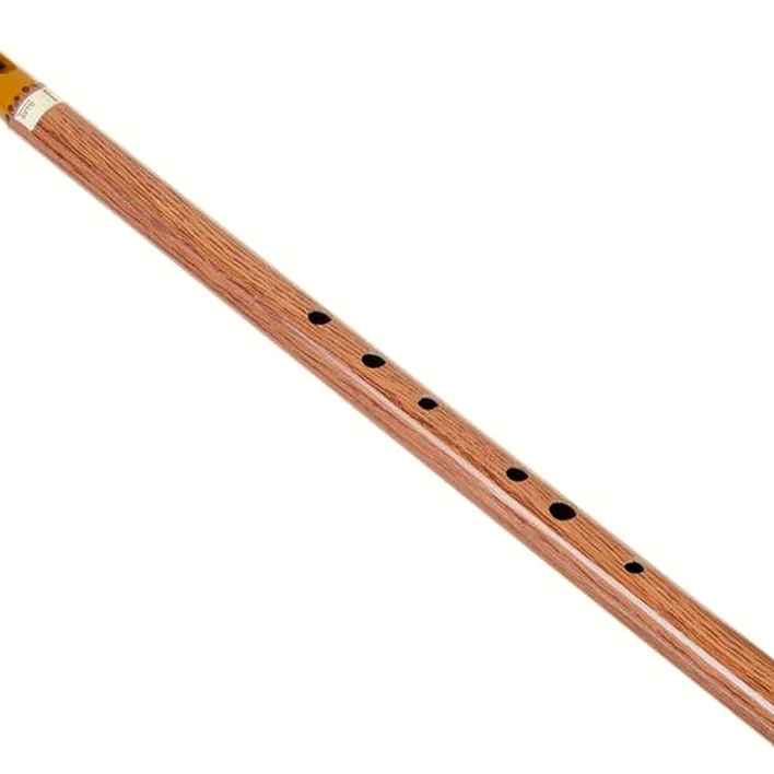 Avis et Test de la flûte Terre Irish Whistle F
