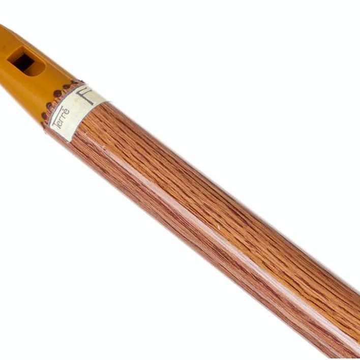 Avis et Test de la flûte Terre Irish Whistle F