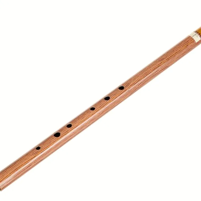 Avis et Test de la flûte Terre Irish Whistle F
