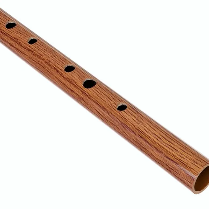 Avis et Test de la flûte Terre Irish Whistle F