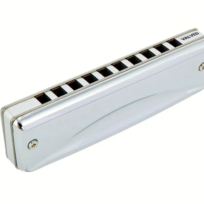 Avis et Test de l’harmonica Suzuki MR-350V Promaster HiG