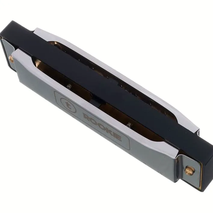 Avis et Test de l’harmonica Thomann Rookie Blues Harmonica D