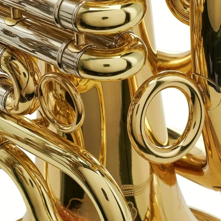 Avis et Test du baryton Wagnérien ZO ZBH-800L Bb-Travel Baritone