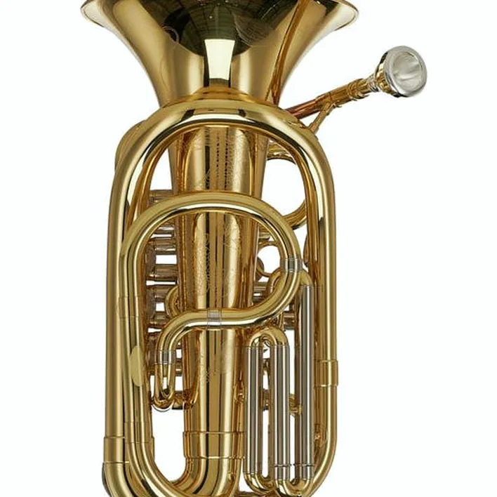 Avis et Test du baryton Wagnérien ZO ZBH-800L Bb-Travel Baritone