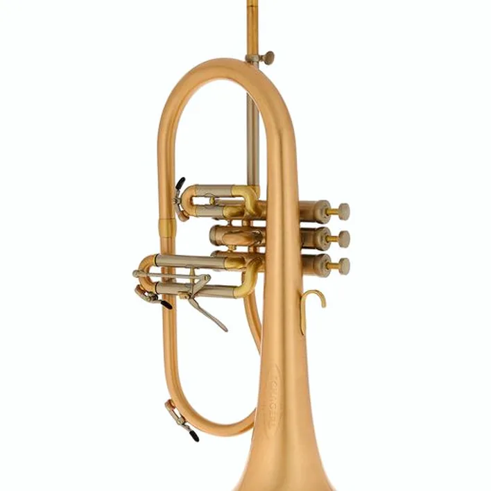 Bugle Schagerl « AGLAEA » Bb- Flugelhorn Comparatif, Test, Avis