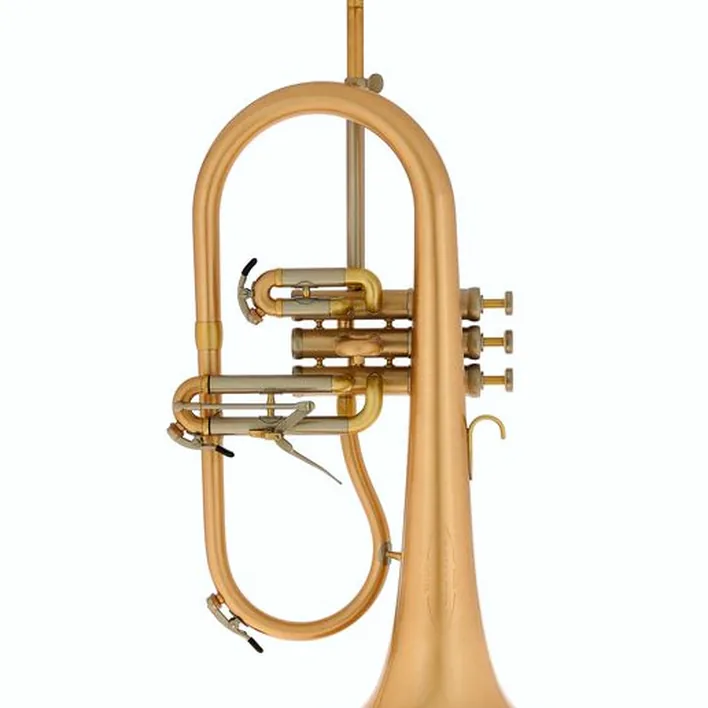 Bugle Schagerl « AGLAEA » Bb- Flugelhorn Comparatif, Test, Avis