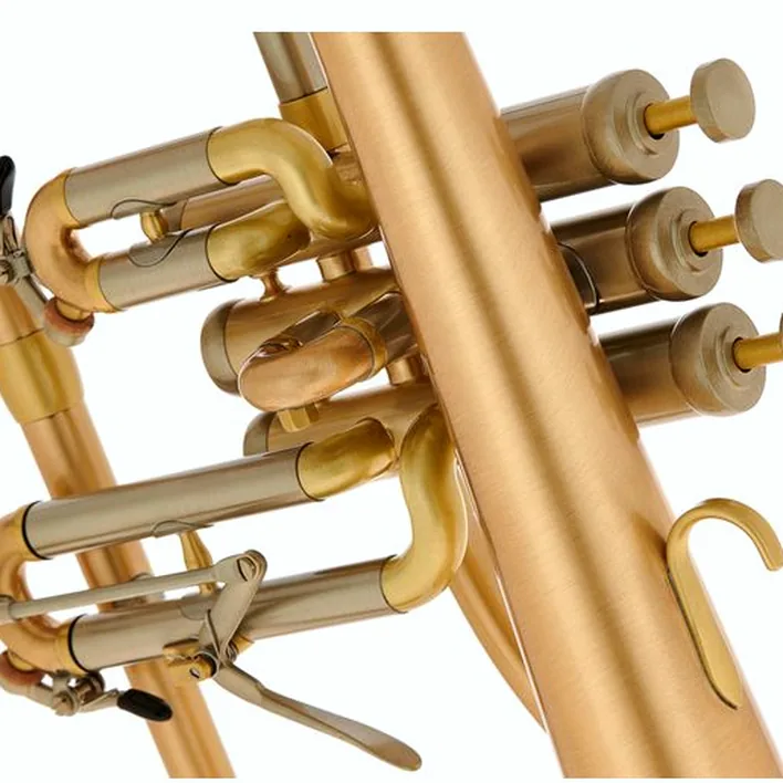 Bugle Schagerl « AGLAEA » Bb- Flugelhorn Comparatif, Test, Avis