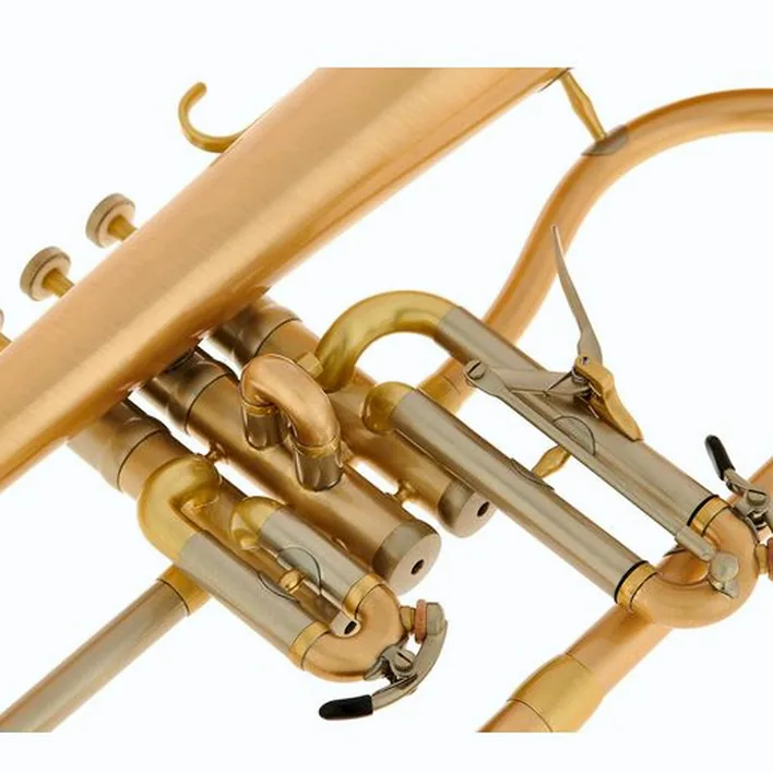 Bugle Schagerl « AGLAEA » Bb- Flugelhorn Comparatif, Test, Avis