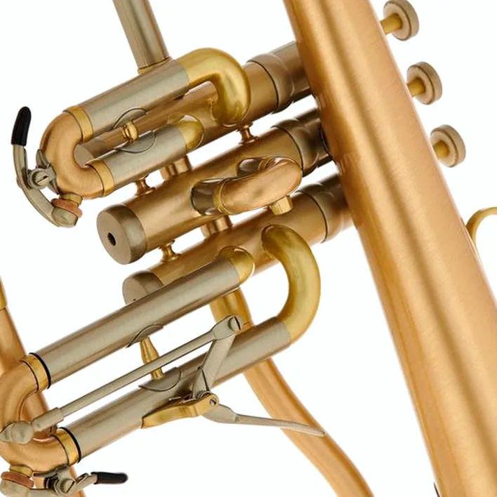 Bugle Schagerl « AGLAEA » Bb- Flugelhorn Comparatif, Test, Avis