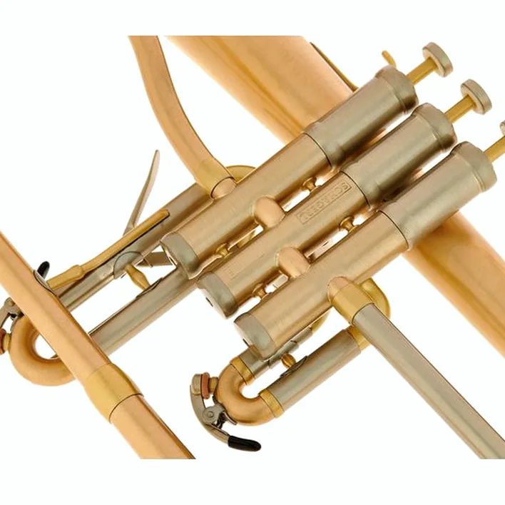 Bugle Schagerl « AGLAEA » Bb- Flugelhorn Comparatif, Test, Avis