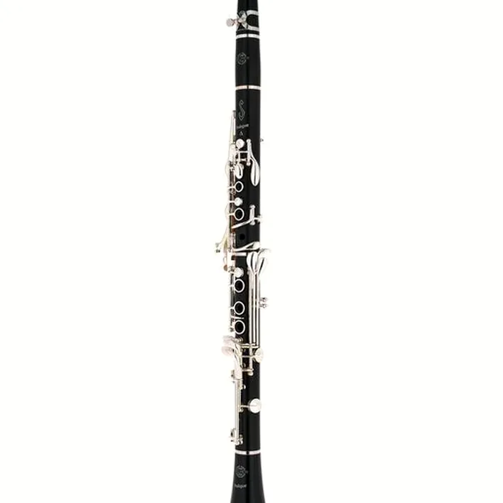 Test & Avis de la clarinette Selmer Prologue II 17/6 Bb-Clarinet