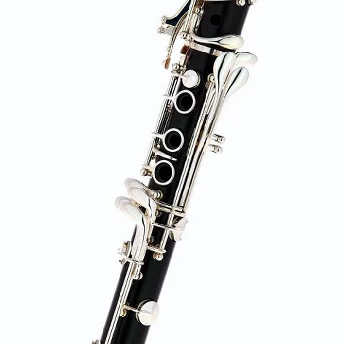 Test & Avis de la clarinette Selmer Prologue II 17/6 Bb-Clarinet
