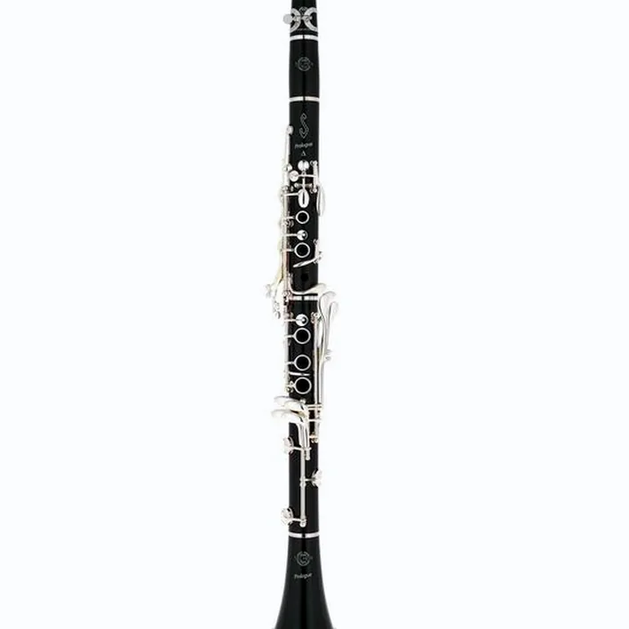 Test & Avis de la clarinette Selmer Prologue II 17/6 Bb-Clarinet
