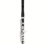 Avis et Test : Thomann PFL-600H Piccolo Flute
