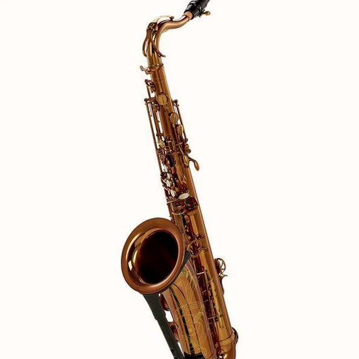 Saxophone Rampone & Cazzani Performance Line Tenor Sax Avis, Test & Comparatif