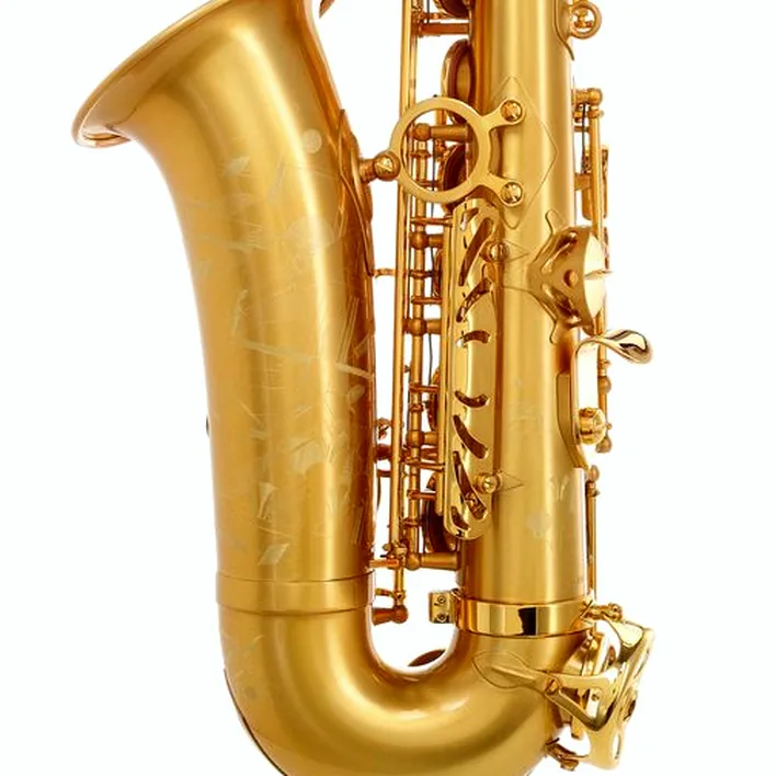 Le saxophone Selmer Signature Alto Sax SE-ASIM Test, Avis