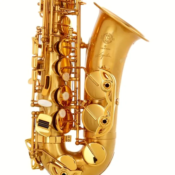 Le saxophone Selmer Signature Alto Sax SE-ASIM Test, Avis