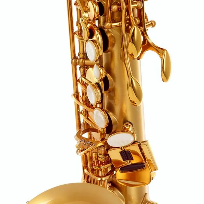 Le saxophone Selmer Signature Alto Sax SE-ASIM Test, Avis