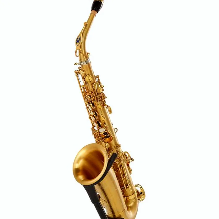 Le saxophone Selmer Signature Alto Sax SE-ASIM Test, Avis