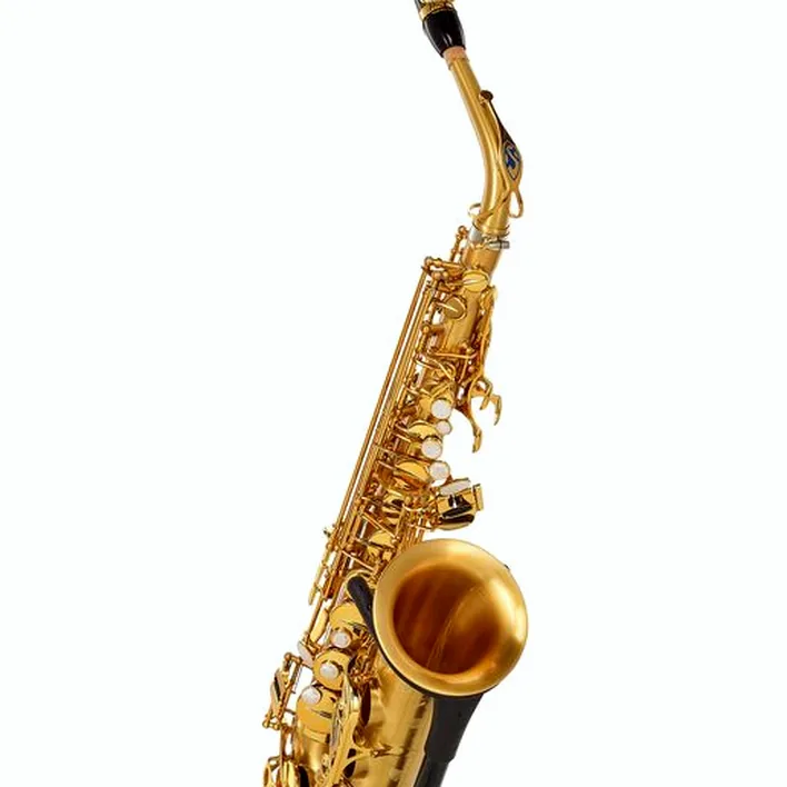 Le saxophone Selmer Signature Alto Sax SE-ASIM Test, Avis