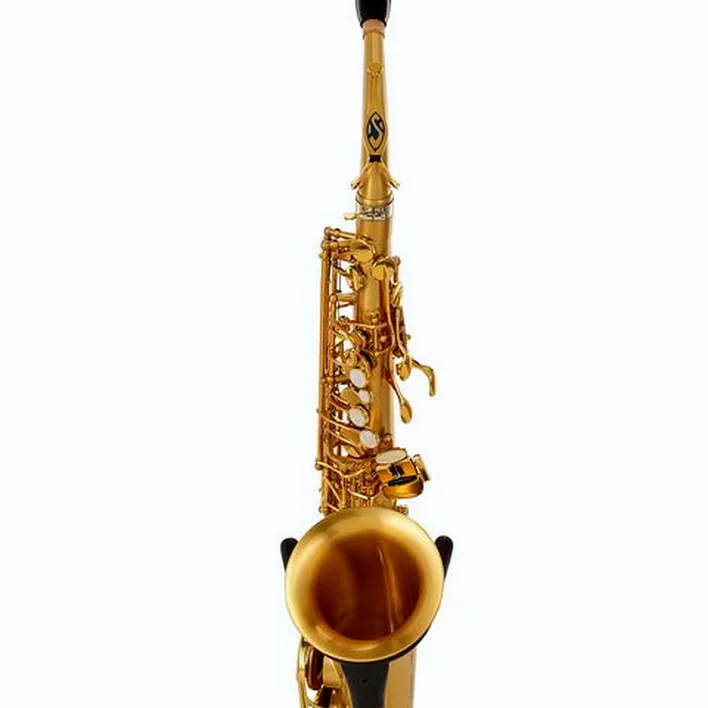 Le saxophone Selmer Signature Alto Sax SE-ASIM Test, Avis