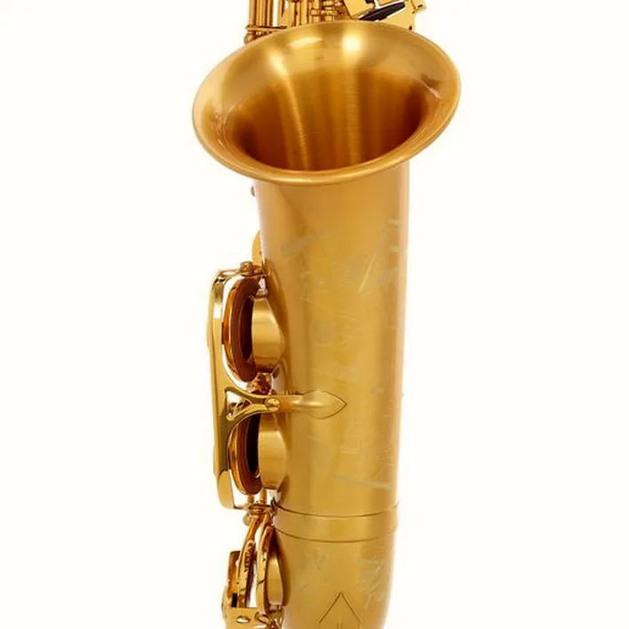 Le saxophone Selmer Signature Alto Sax SE-ASIM Test, Avis