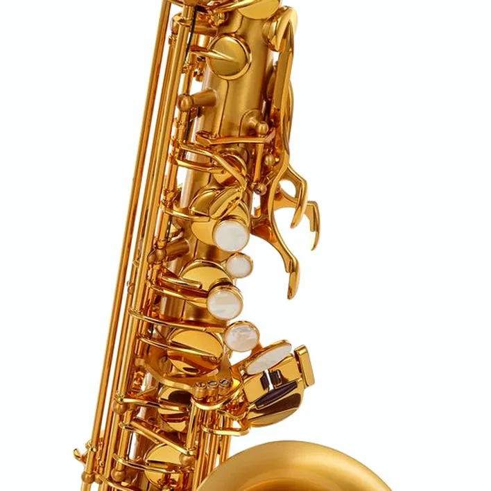 Le saxophone Selmer Signature Alto Sax SE-ASIM Test, Avis