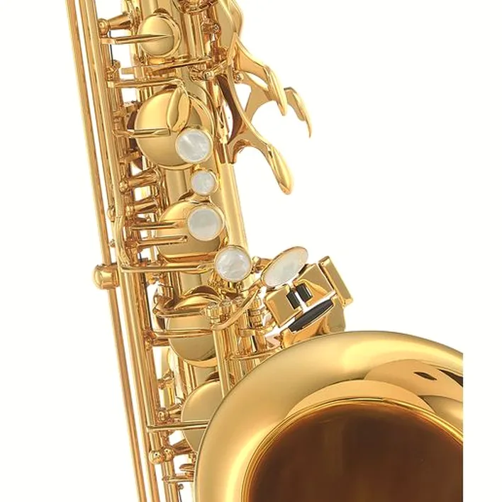 Saxophone Selmer Signature Tenor Sax SE-TSIL – Avis, Test