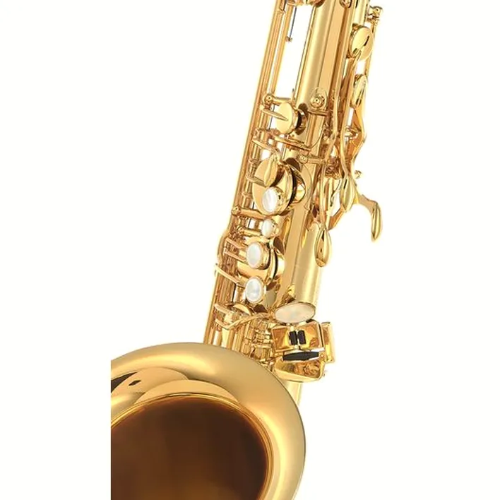 Saxophone Selmer Signature Tenor Sax SE-TSIL – Avis, Test