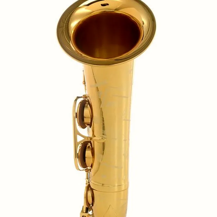 Saxophone Selmer Signature Tenor Sax SE-TSIL – Avis, Test