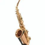 Avis & Test : Forestone RX Red Brass GL Alto Sax