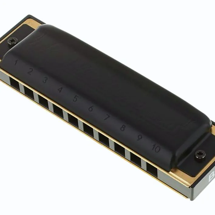 Avis et Test harmonica Hohner Pro Harp MS Bb