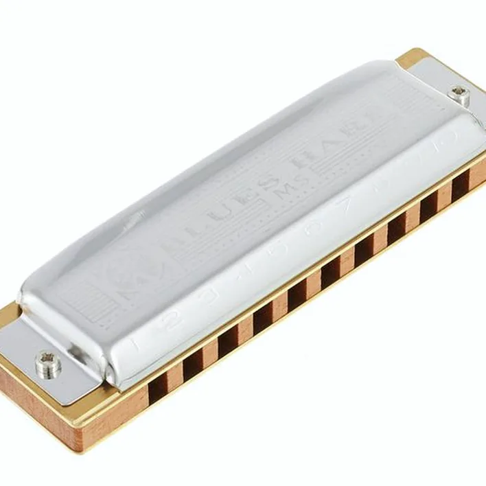 Avis et Test : Hohner Blues Harp MS C