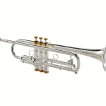 Avis et Test : Kühnl & Hoyer Spirit MAW Bb-Trumpet RL silv.