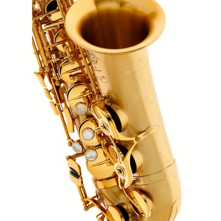 Avis & Test : Selmer Supreme Alto Sax SE-ASUM