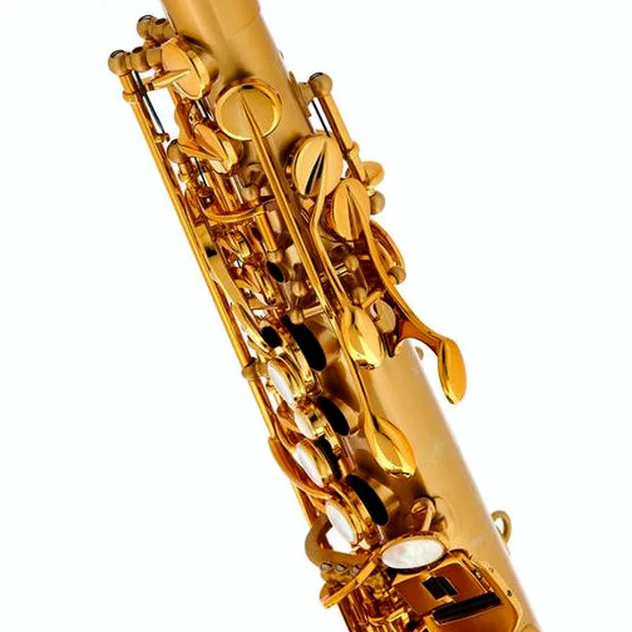 Avis & Test : Selmer Supreme Alto Sax SE-ASUM