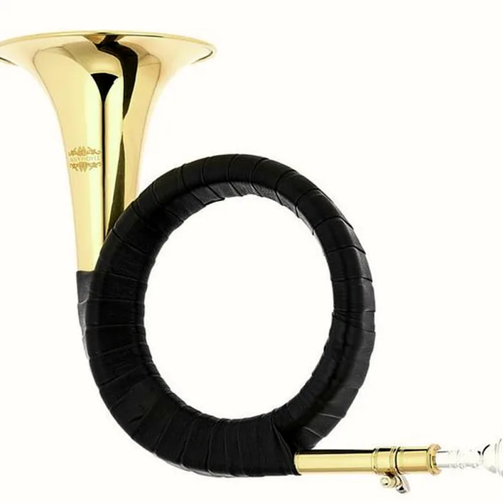 Avis et Test : Thomann Bb- Fürst Pless Horn