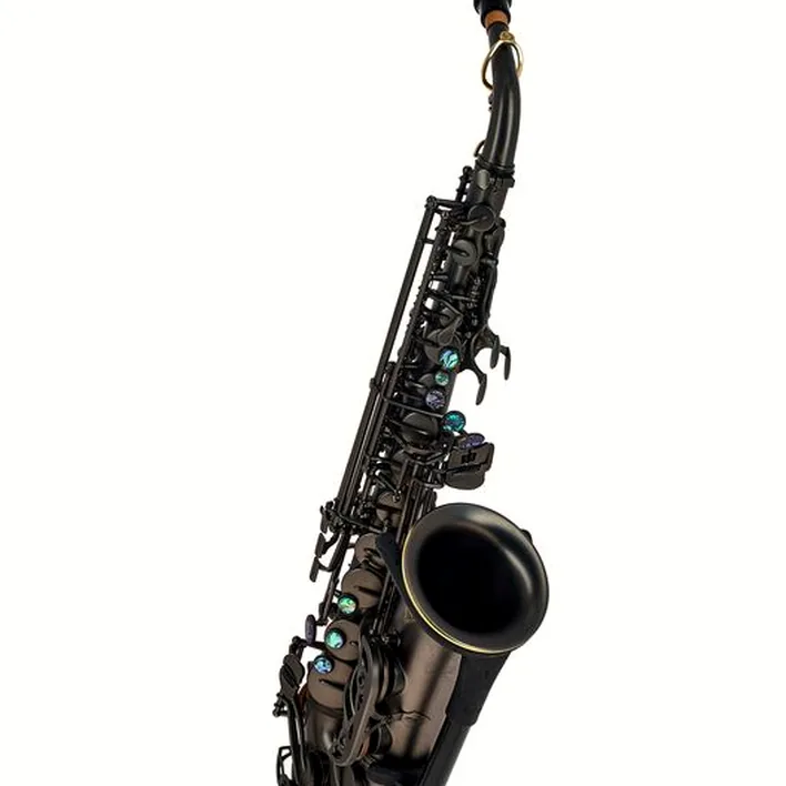 Avis et Test : Thomann Blacky Alto Sax