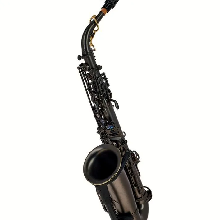 Avis et Test : Thomann Blacky Alto Sax