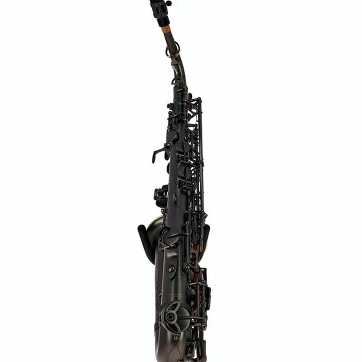 Avis et Test : Thomann Blacky Alto Sax